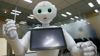 Drunk Guy Arrested for Kicking a Pepper Robot